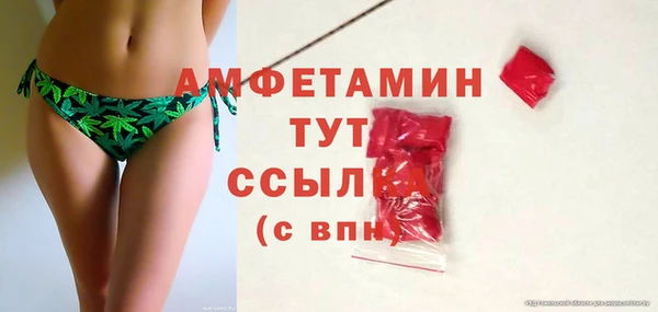 индика Арсеньев