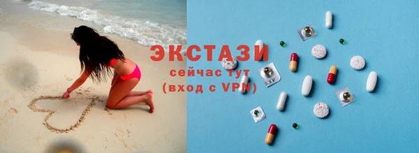 индика Арсеньев