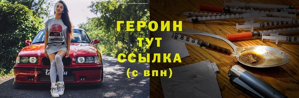 индика Арсеньев