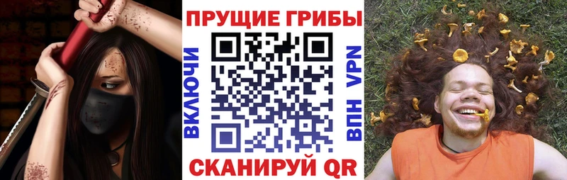 магазин продажи наркотиков Талица Галлюциногенные грибы прущие грибы